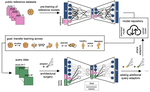 Query to reference single-cell integration with transfer learning